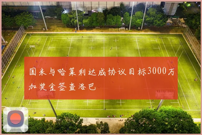 国米与哈莱利达成协议目标3000万加奖金签查洛巴